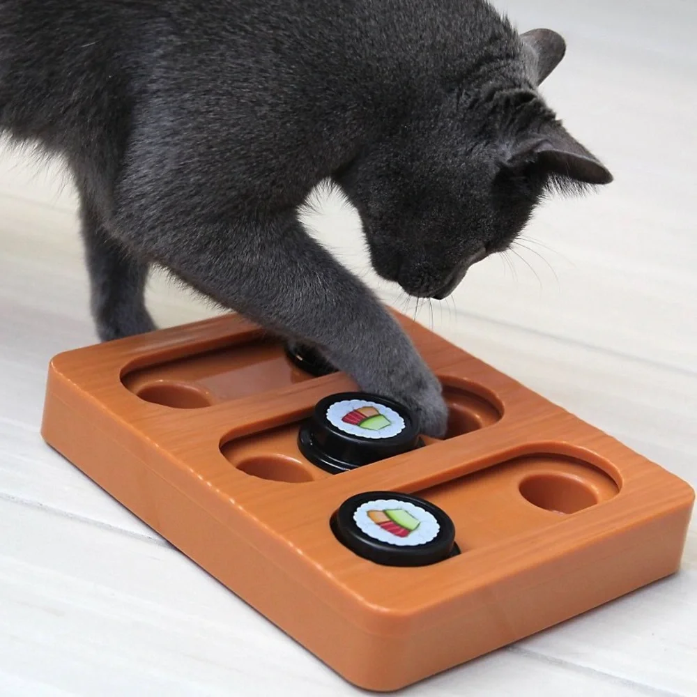 Quirky Kitty 🍱 Sushi Hunter Bento Box Puzzle